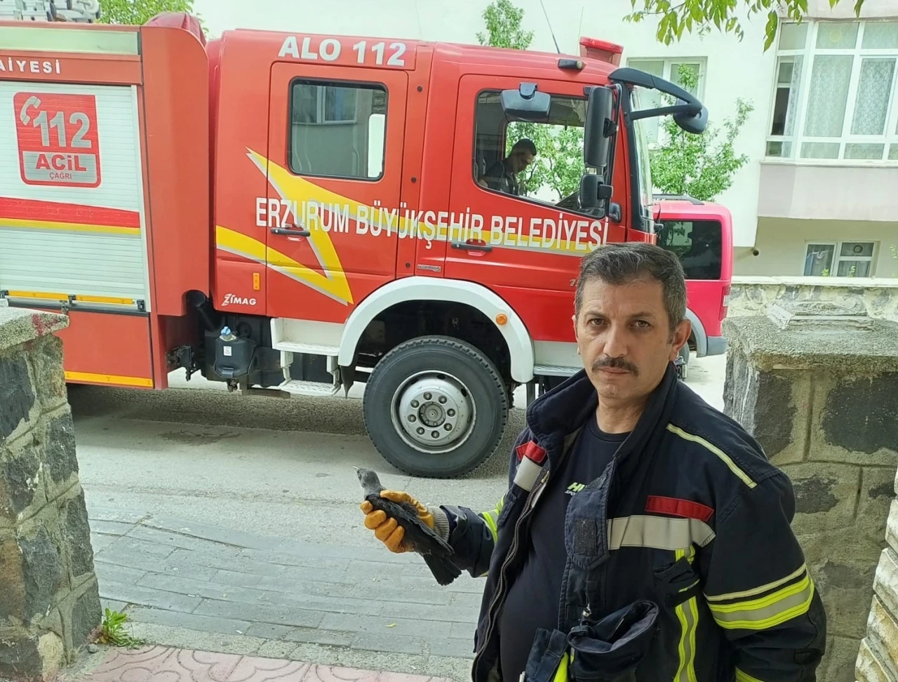 Karga yavrusuna uzanan şefkat eli

