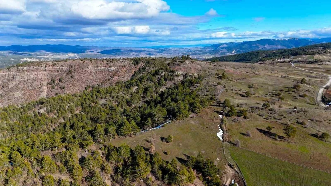 Karlar eridi, yaylalar yeşile b&uuml;r&uuml;nmeye başladı
