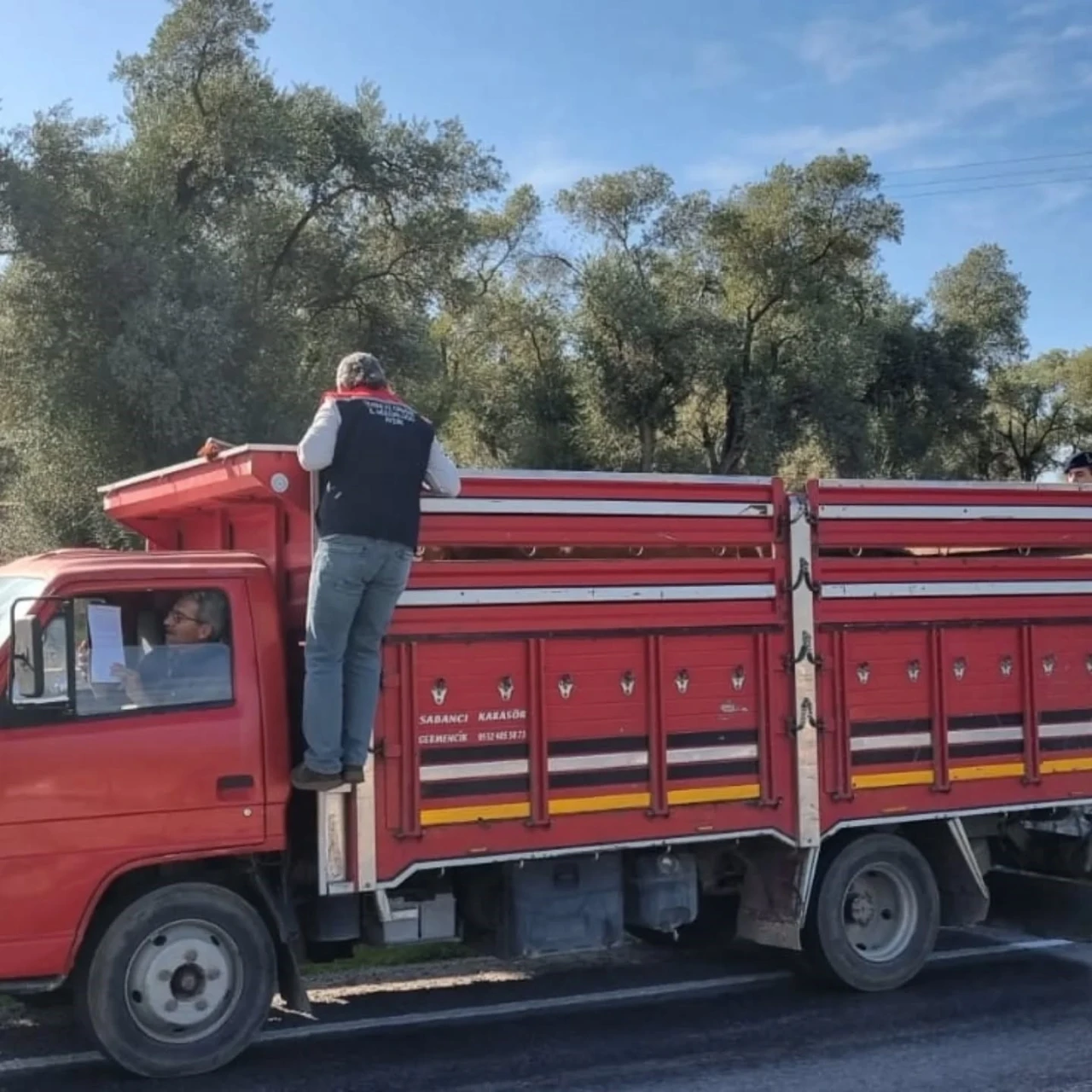Karpuzlu’da hayvan sevkiyatına denetim
