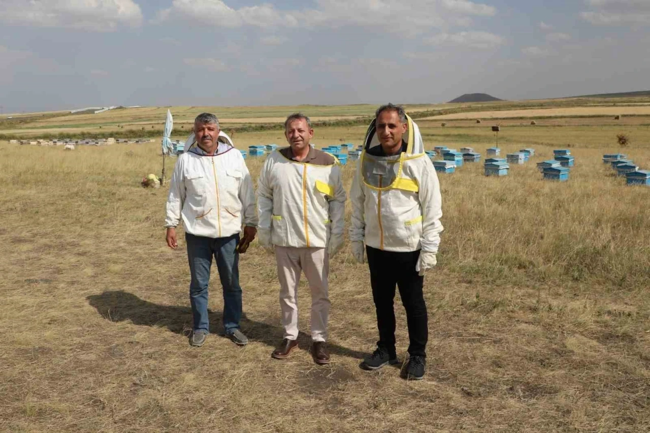Kars’ta 2025 yılında bin 800 ton bal rekoltesi beklentisi
