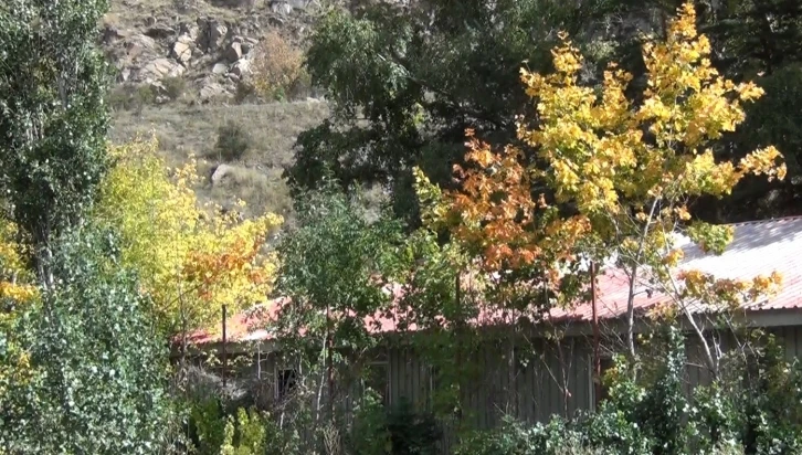 Kars&rsquo;ta ağa&ccedil;ların yaprak d&ouml;k&uuml;m&uuml; başladı
