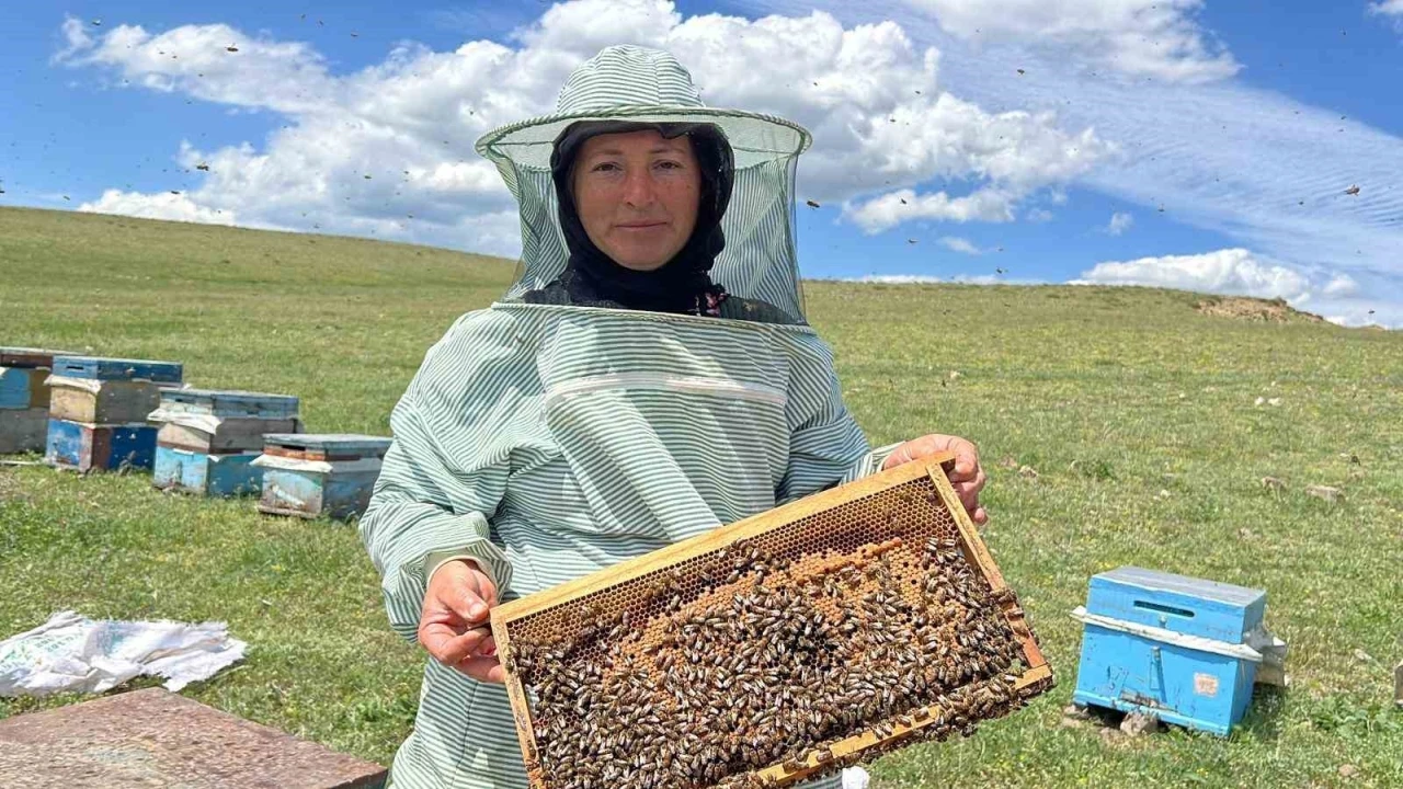 Kars’ta baba mesleği arıcılığı 21 yıldır eşiyle birlikte yapıyor
