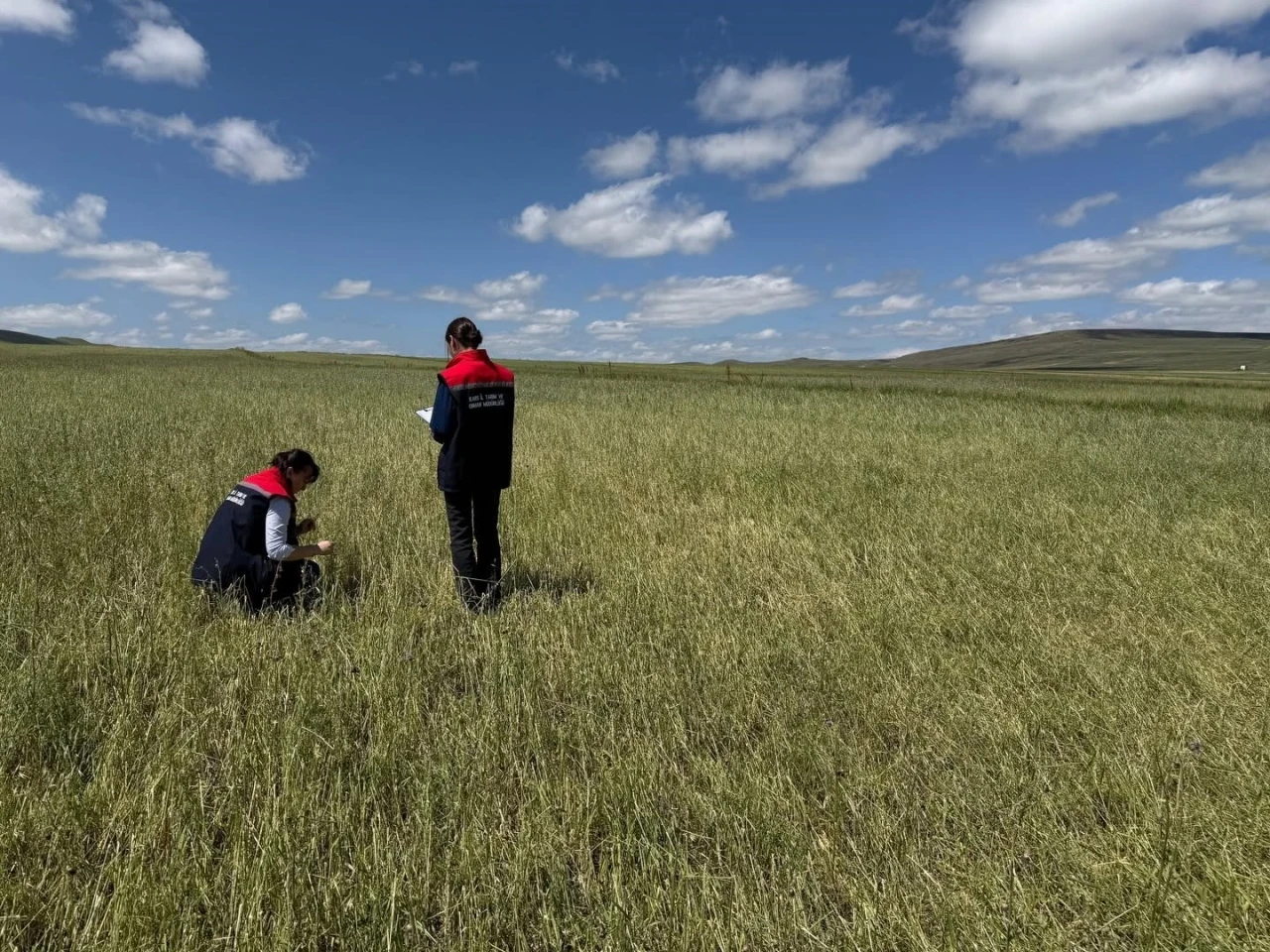 Kars&rsquo;ta doğal afet sonrası seferberlik: Tarım ekipleri hasar tespiti i&ccedil;in sahada
