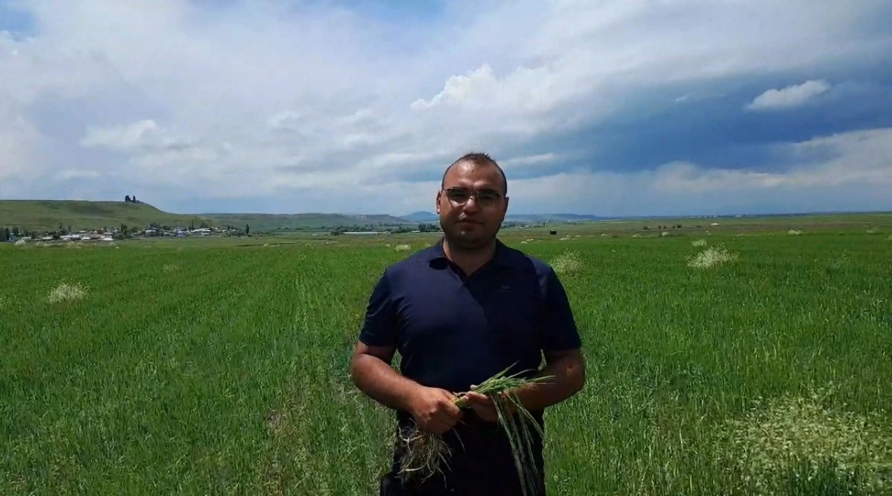 Kars’ta etkili olan dolu tarım arazilerine zarar verdi
