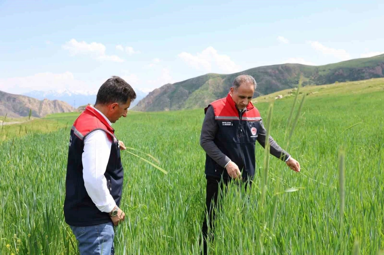Kars&rsquo;ta fenolojik g&ouml;zlem &ccedil;alışmaları s&uuml;r&uuml;yor
