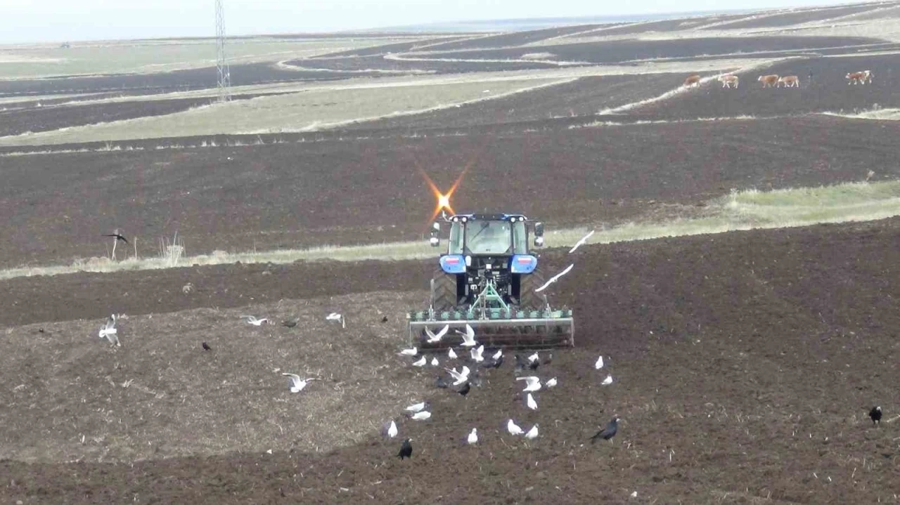 Kars&rsquo;ta kış uzadı, ekim gecikti: &Ccedil;ift&ccedil;i zamanla yarışıyor
