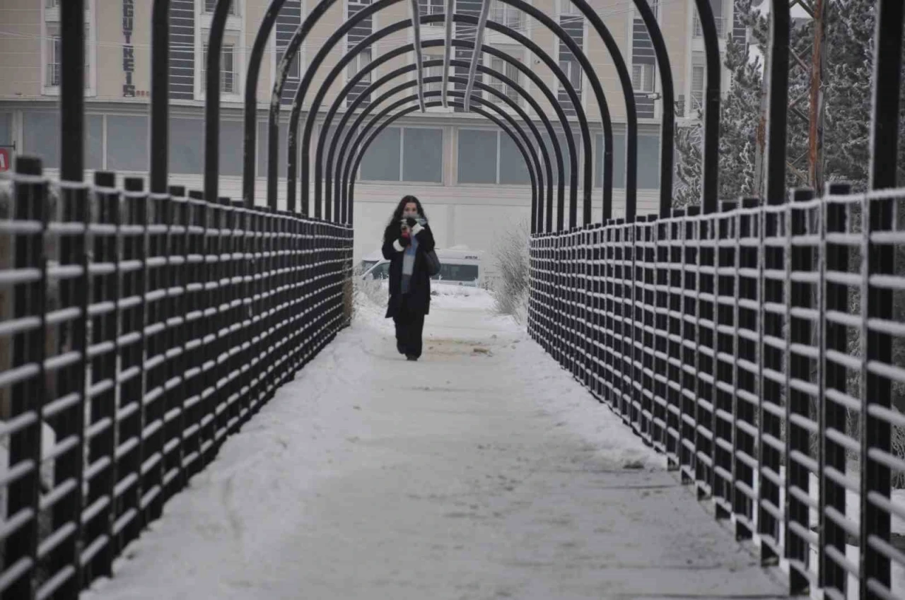 Kars&rsquo;ta soğuktan ağa&ccedil;lar kırağı tuttu
