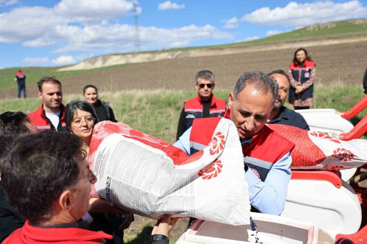 Kars’ta yağlık ayçiçeği üretimi artıyor

