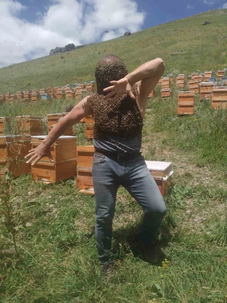 Karslı arıcıdan ‘yok artık’ dedirten görüntüler
