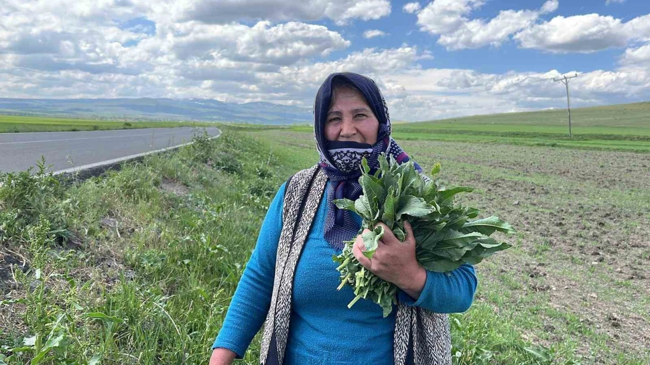 Karslı kadınların ‘evelik’ mesaisi başladı
