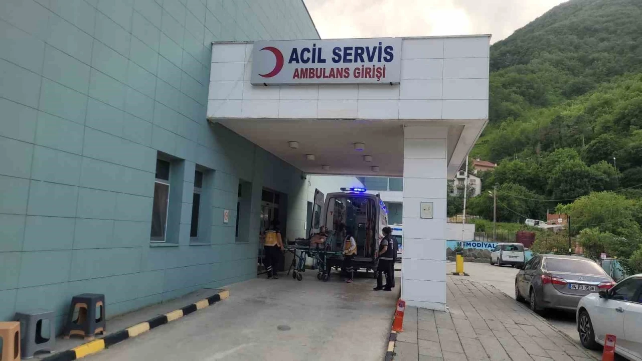 Kastamonu’da akrebin soktuğu kadın hastanelik oldu
