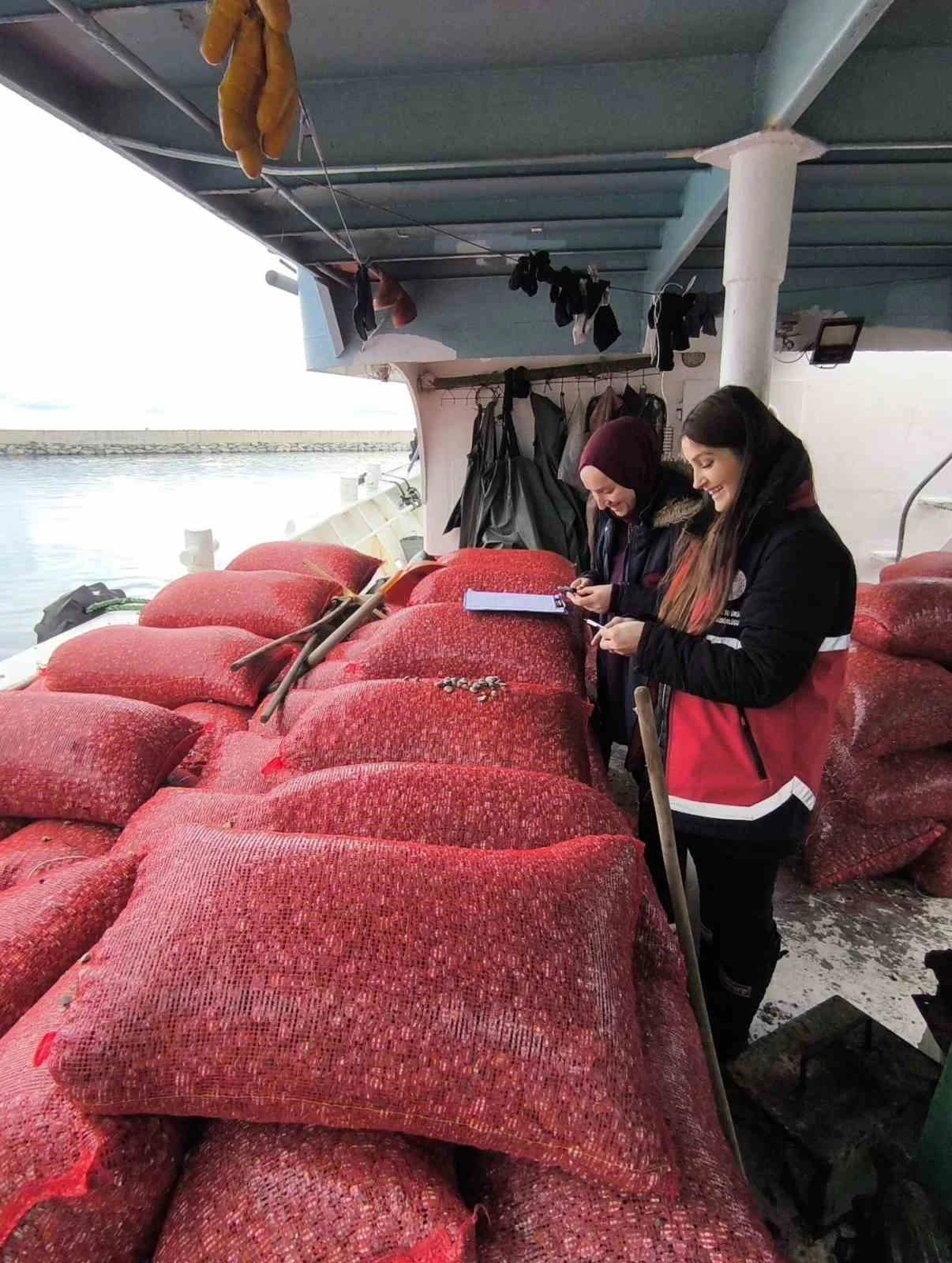 Kastamonu’da beyaz kum midyesi denetimi
