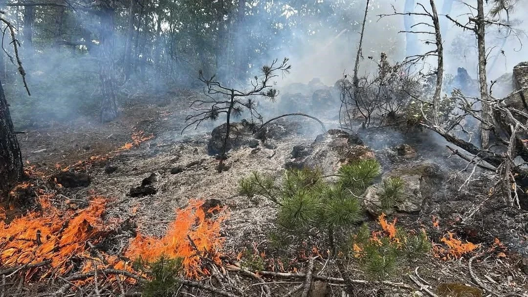 Kastamonu’da çıkan orman yangını büyümeden söndürüldü
