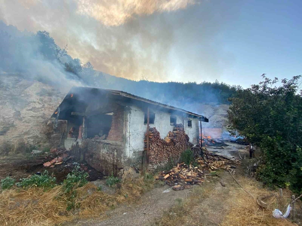 Kastamonu&rsquo;da evde &ccedil;ıkan yangın ormana sı&ccedil;radı
