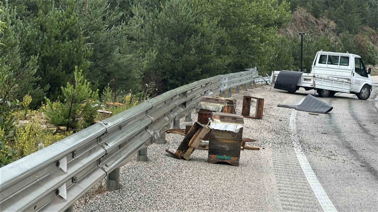 Kastamonu&rsquo;da kamyonet bariyerlere &ccedil;arptı: Etrafa sa&ccedil;ılan kovandaki arılar telef oldu
