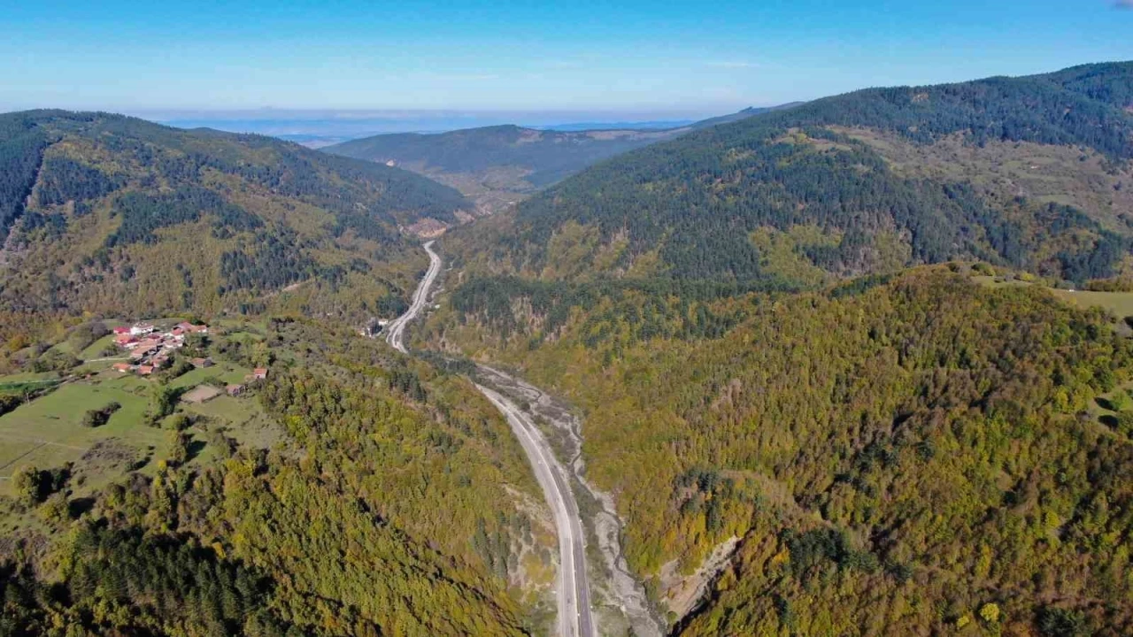 Kastamonu’da ormanlık alanlara girmek yasaklandı
