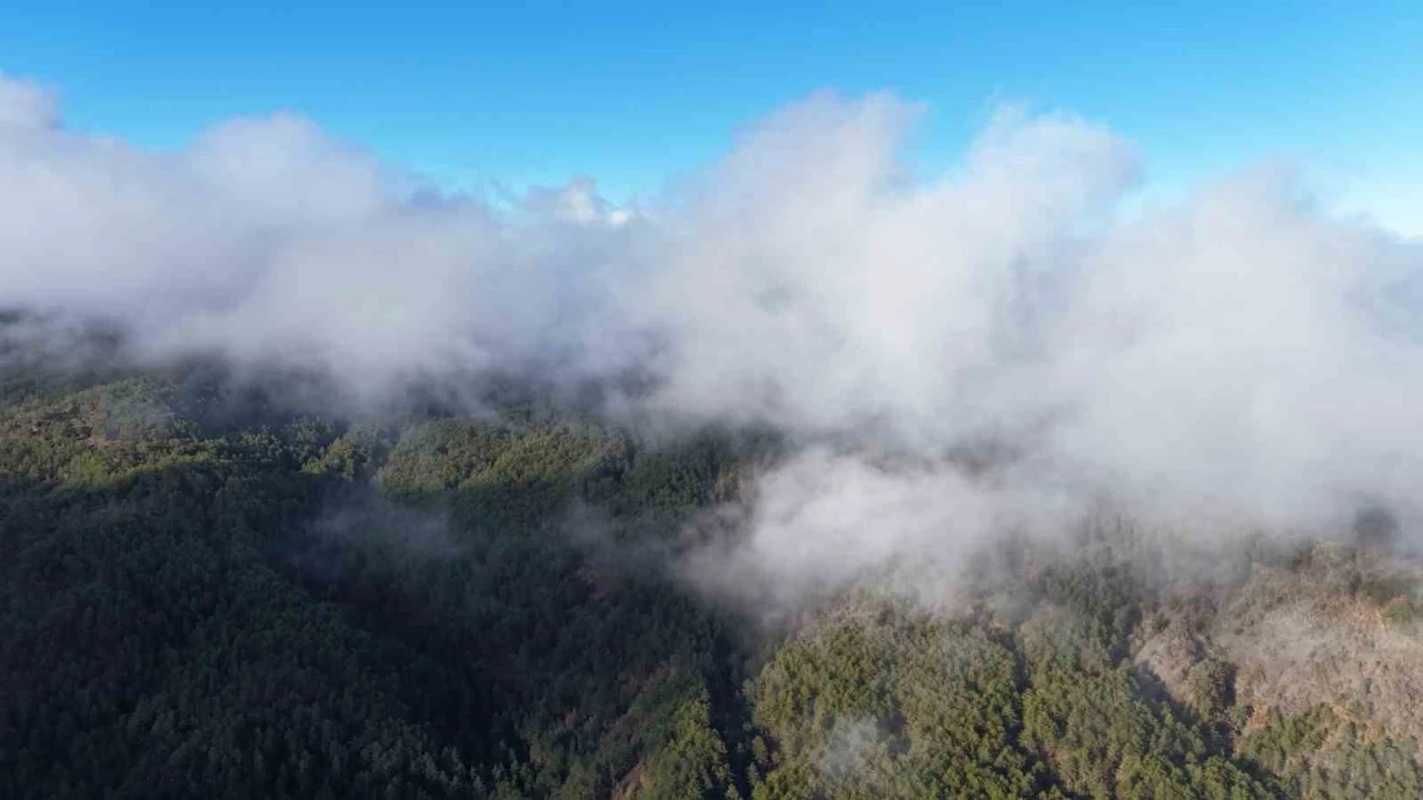 Kastamonu’da sis bulutları ve ormanların buluşması mest etti
