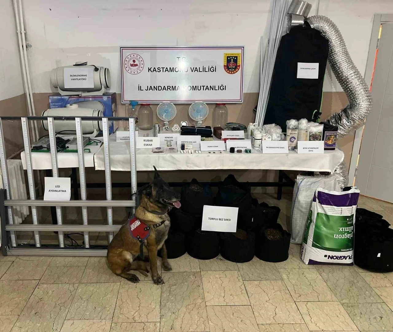 Kastamonu&rsquo;da uyuşturucu operasyonu:  6 g&ouml;zaltı
