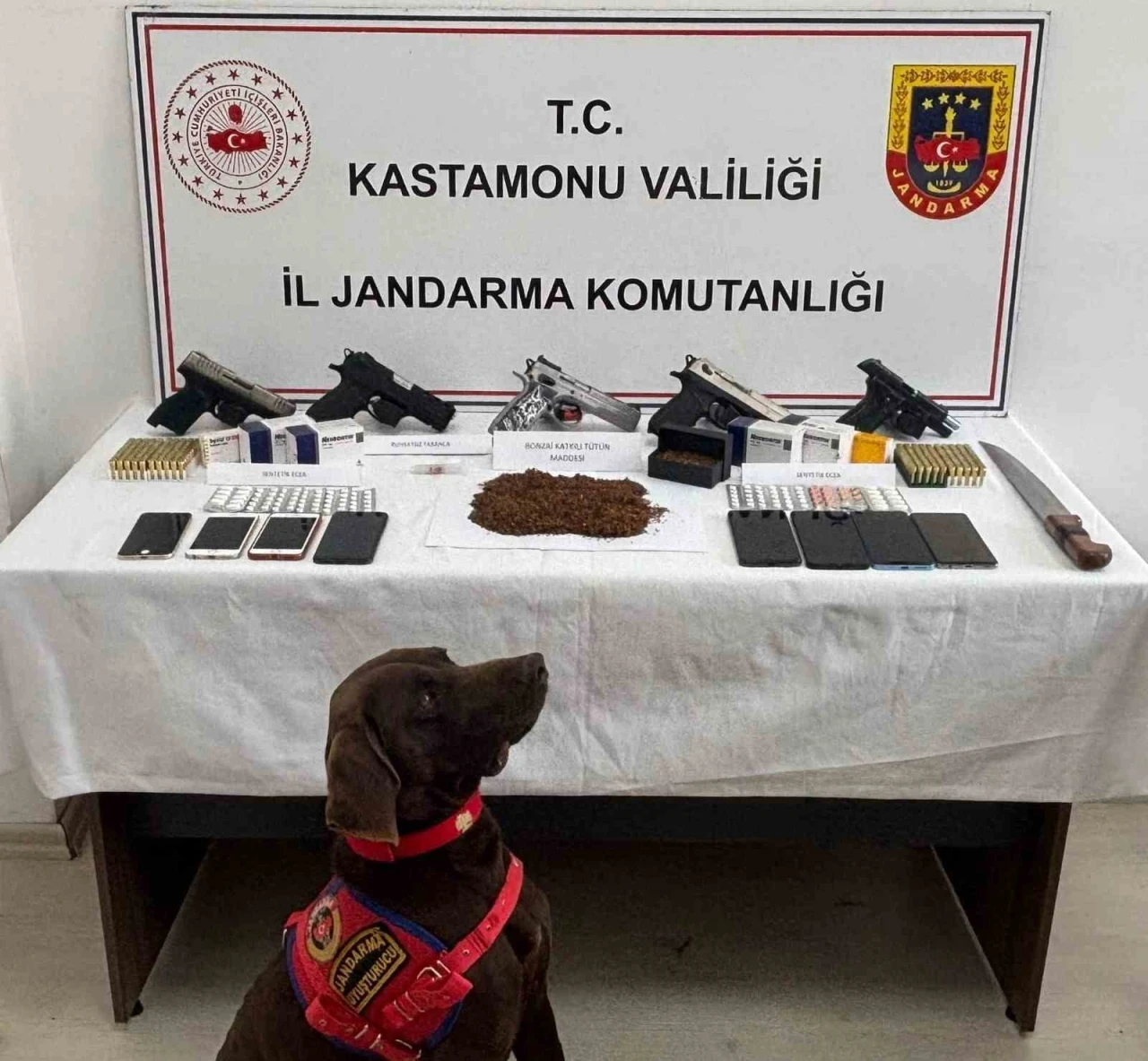 Kastamonu&rsquo;da uyuşturucu operasyonu: 9 g&ouml;zaltı

