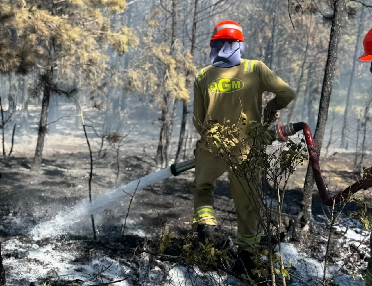 Kastamonu&rsquo;daki orman yangını s&ouml;nd&uuml;r&uuml;ld&uuml;
