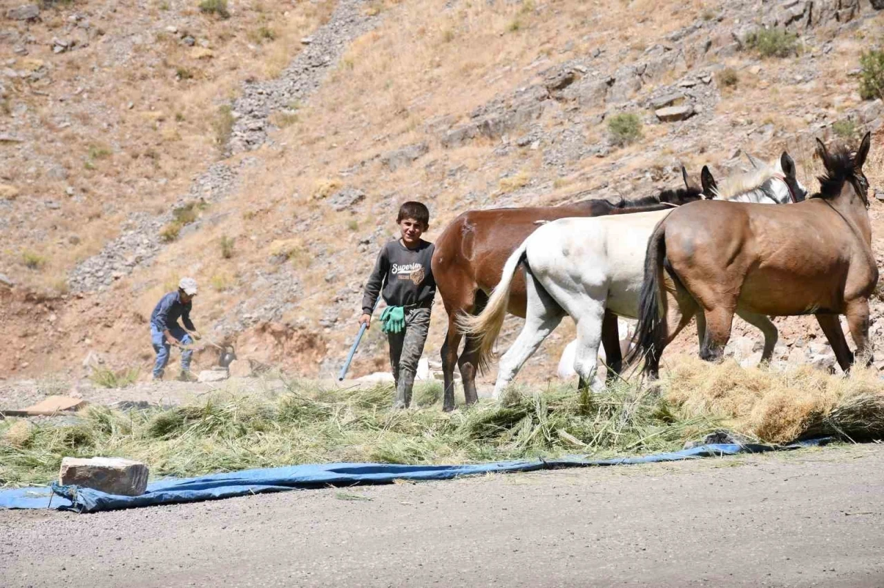 Katırlarla kışa hazırlık