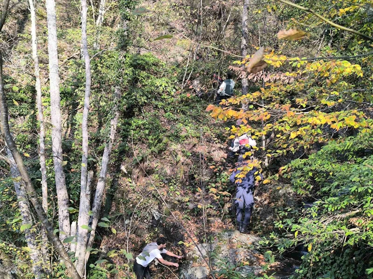 Kayıp annenin cesedini kuzgunu takip eden vatandaşlar bulmuş
