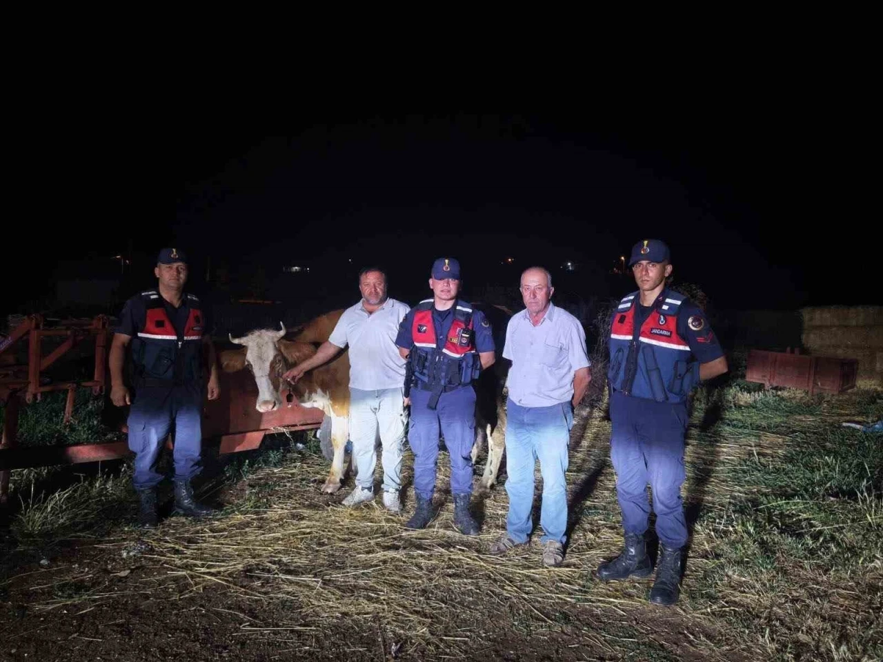 Kayıp b&uuml;y&uuml;kbaş hayvan jandarma tarafından bulundu
