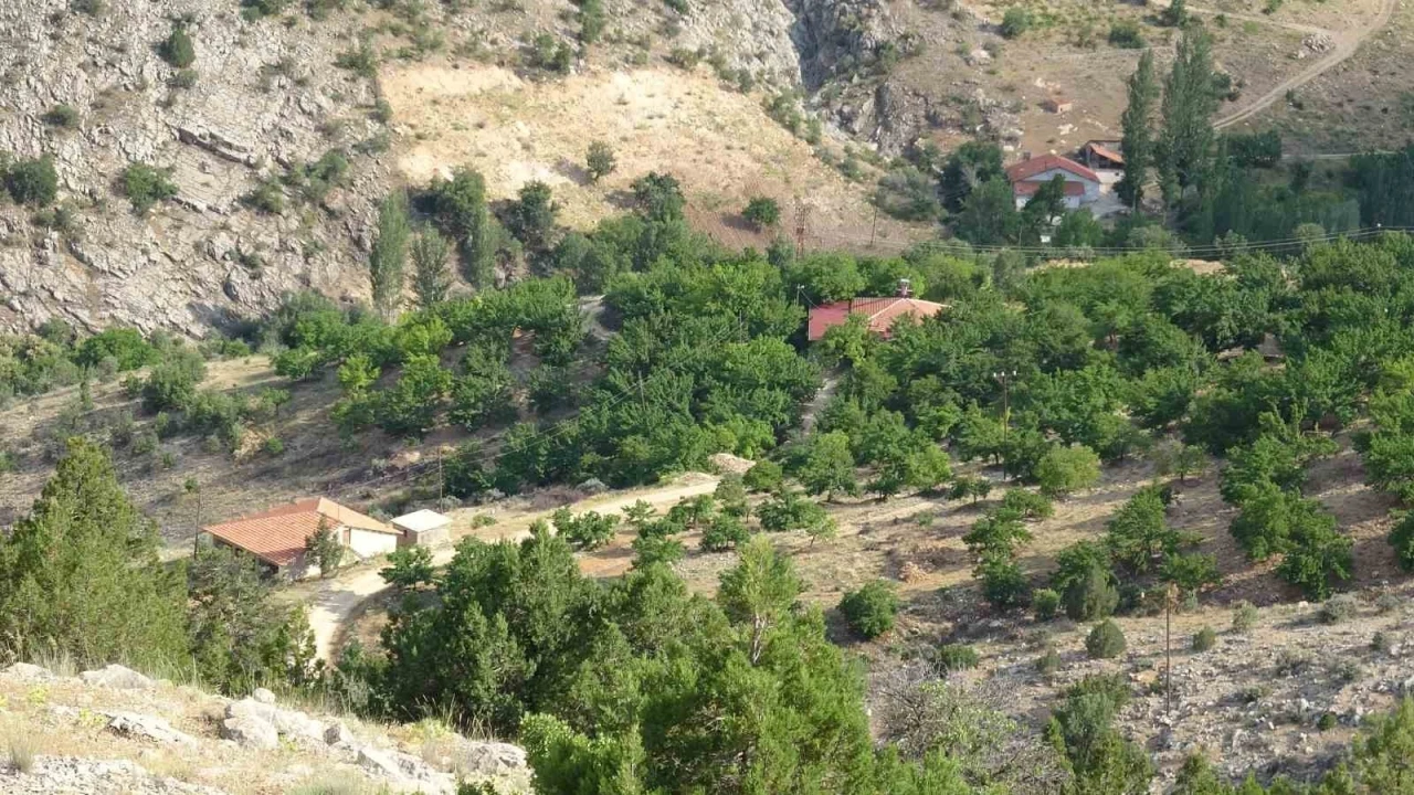 Kayıp kadının cenazesi i&ccedil;in  bin 600 rakımlı dağda arama s&uuml;r&uuml;yor

