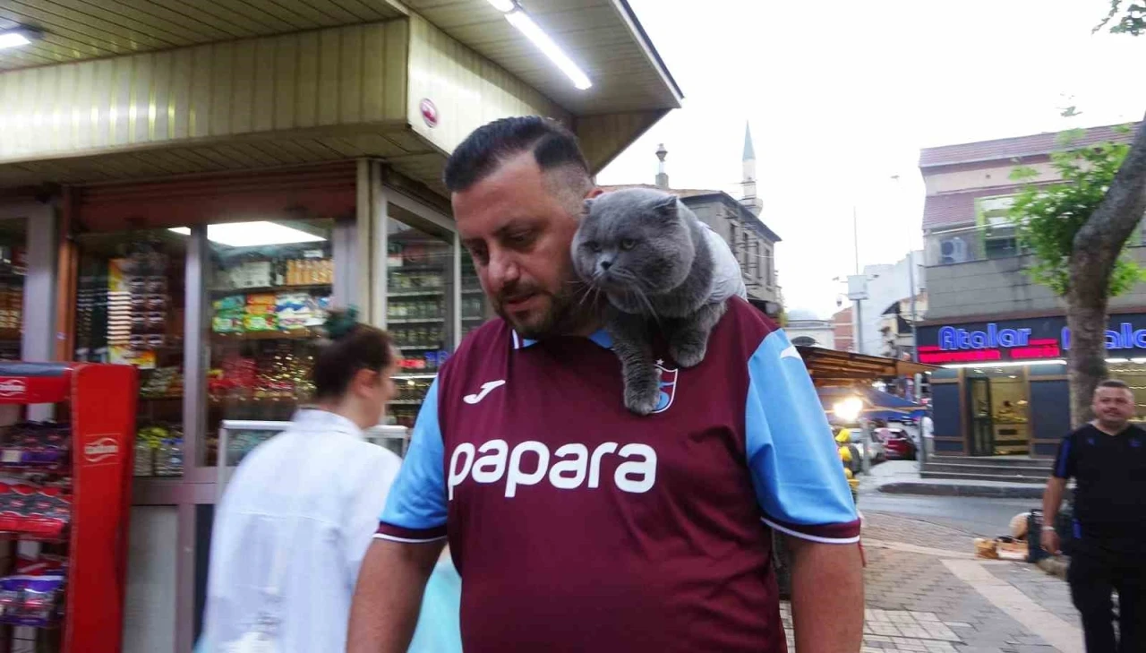 Kayıp kedi &rsquo;Tom&rsquo; 4 g&uuml;n sonra bulundu
