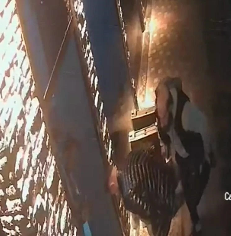 Kayseri&rsquo;de esnaf boğazına şeker ka&ccedil;an &ccedil;ocuğu heimlich manevrasıyla kurtardı... O anlar kamerada
