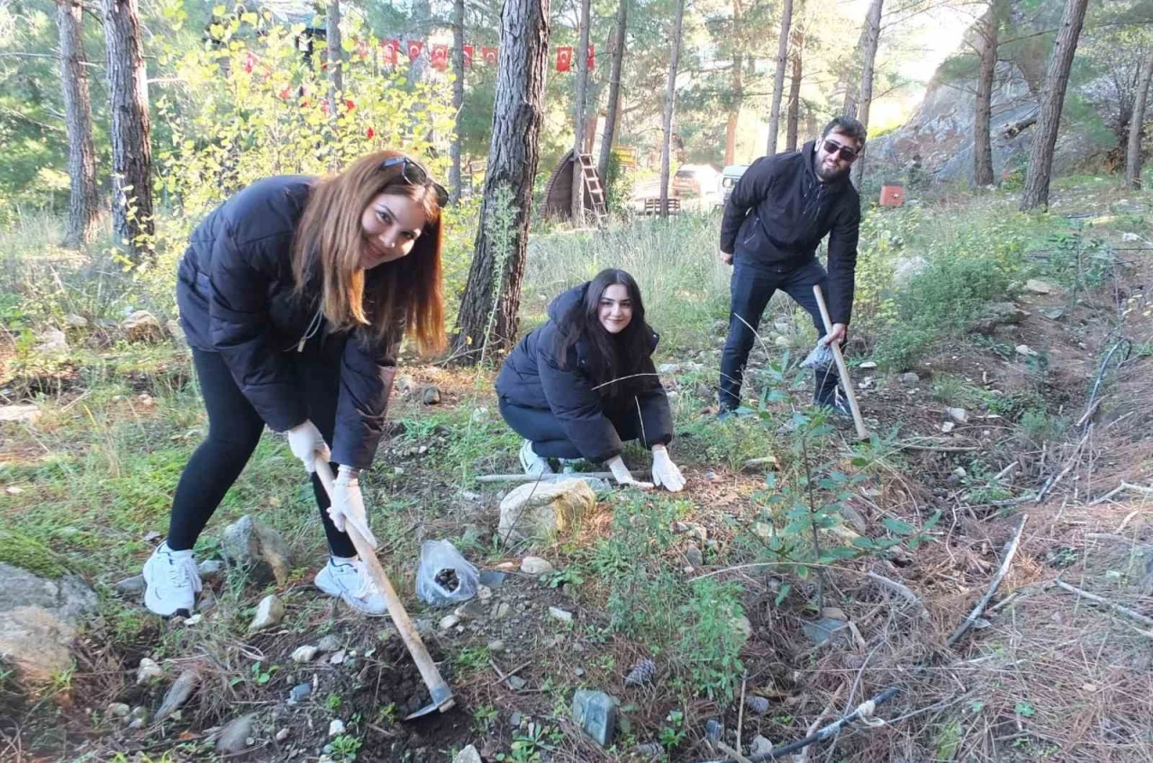 Kazdağlarında Bal Ormanına &uuml;niversiteli desteği
