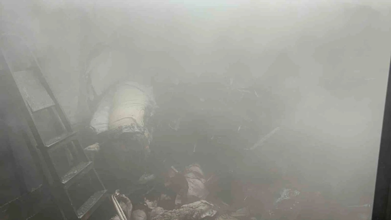 Kediler ısınsın diye kullanılan elektrikli ısıtıcı yangına sebep oldu
