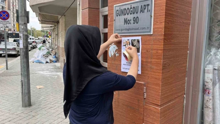 Kedilerini bulana 5 bin lira verecek
