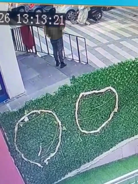 Kedinin &ccedil;uvala konularak uzaklaştırıldığı g&ouml;r&uuml;nt&uuml;lere tepki
