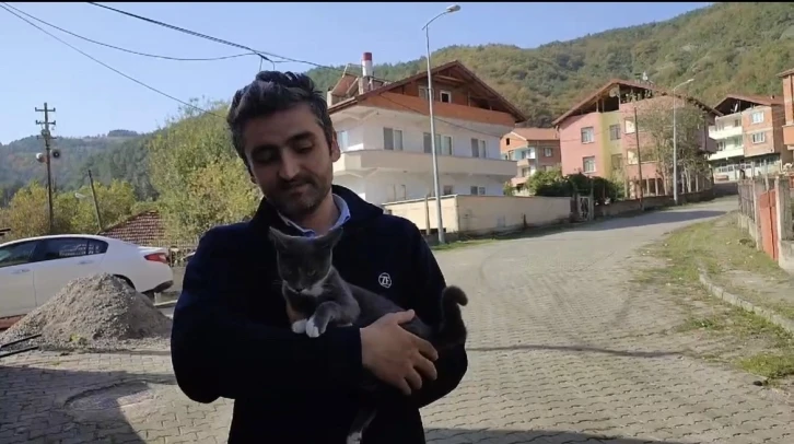 Kedinin fare ile oyunu izleyenleri g&uuml;l&uuml;msetti
