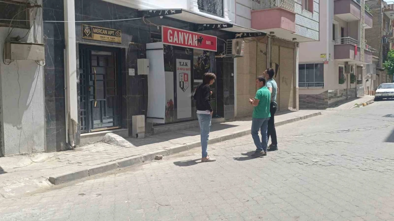 Pompalı Tüfekle Kedi Vuran Şahıs Serbest Kaldı