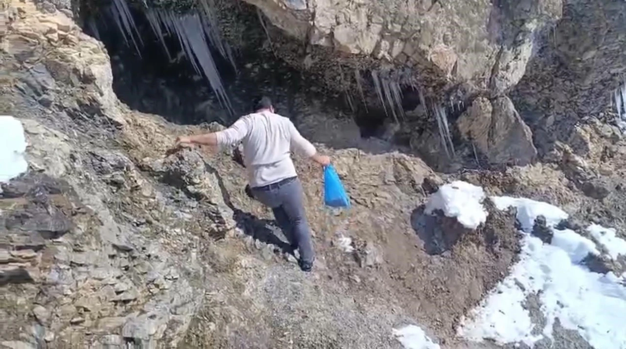 Keklikler i&ccedil;in doğaya yem bıraktılar