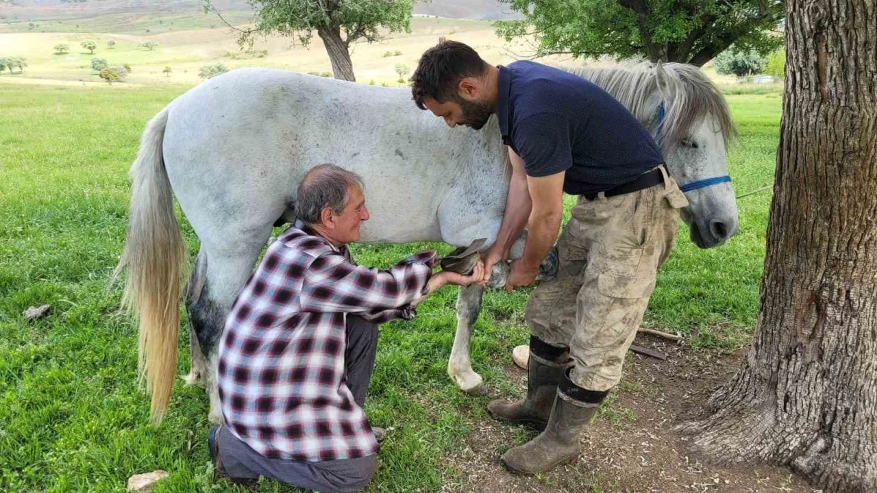 Kemaliye’nin son nalbant ustası yarım asırdır mesleğini sürdürüyor
