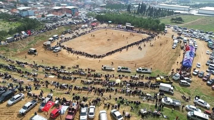 Kemalpaşa&rsquo;da 3. Boğa G&uuml;reşi Festivali heyecanı
