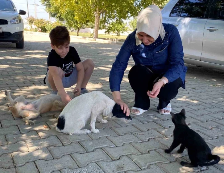 Kendi k&uuml;&ccedil;&uuml;k sevgisi b&uuml;y&uuml;k
