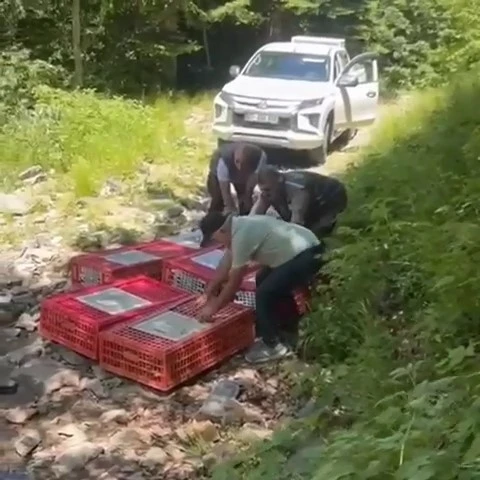 Kene ile mücadele timleri doğaya salındı
