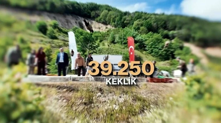 Kene ve kahverengi kokarcaya karşı doğal m&uuml;cadele: 51 bin keklik ve s&uuml;l&uuml;n salınacak
