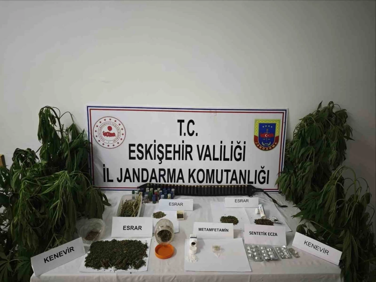 Kenevir bitkisi ekimi yapılan ikamete operasyon düzenledi
