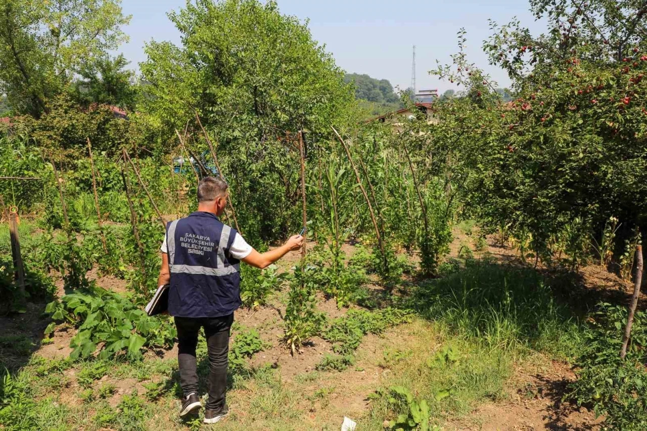 Kesintilere sebep olan kaçak kullanımı engellemek için ekipler 24 saat sahada
