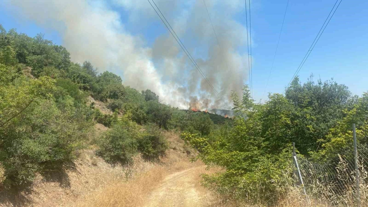 Kestel’de aynı ormanın aynı yerinde yeniden yangın başladı
