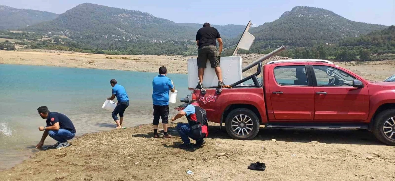 Kilgen Barajı’na 321 bin yavru sazan, baraja bırakıldı
