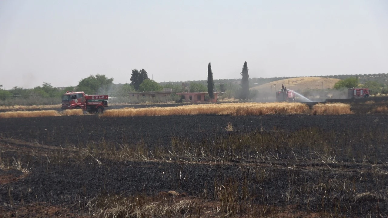 Kilis’te buğday tarlasında yangın
