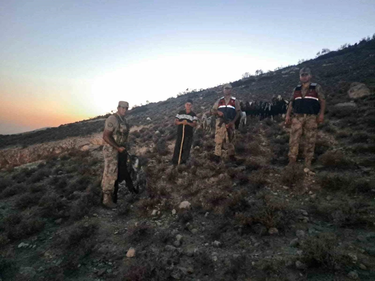 Kilis’te kaybolan 26 küçükbaş hayvan bulundu

