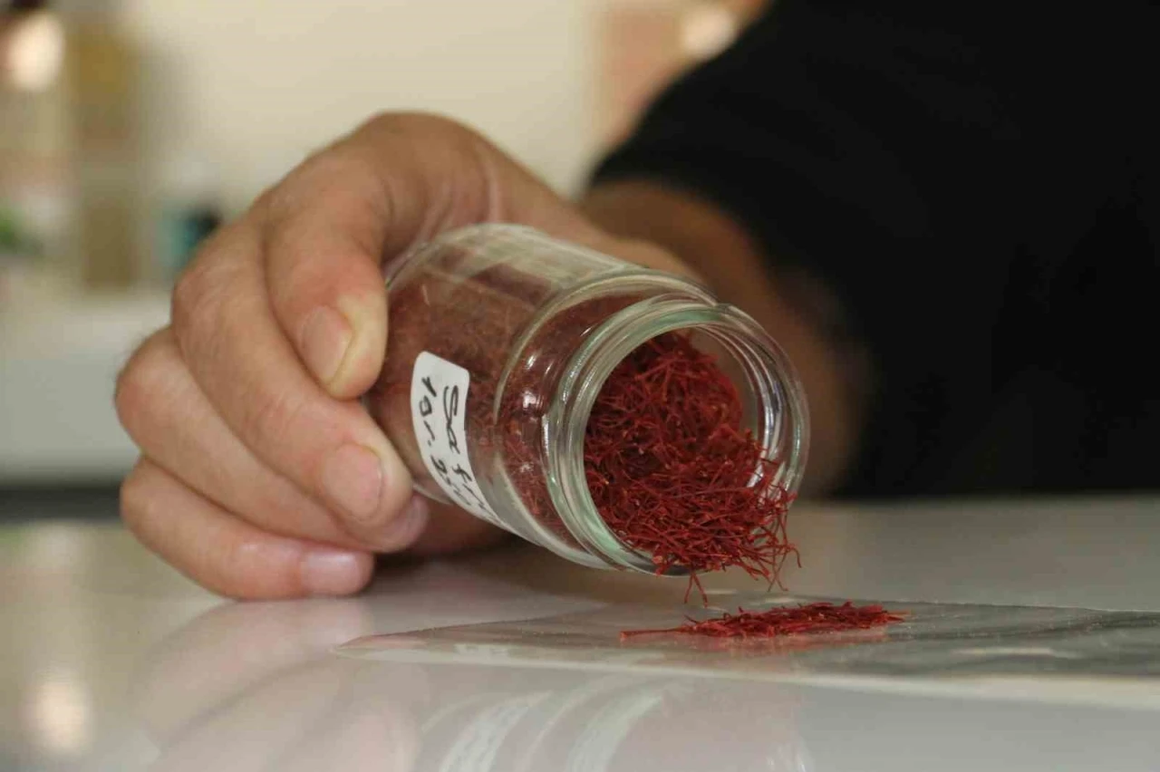 Kilosu 250 bin liradan satılan safranın mısır püskülünden sahtesini yaptılar
