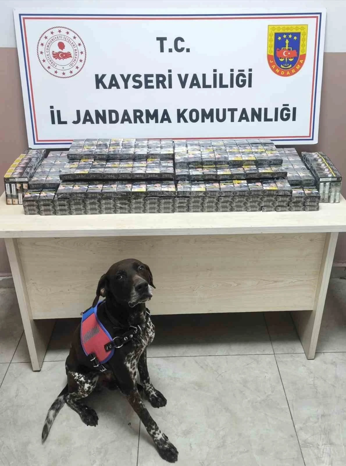 Kimlik kontrolü için durdurulan 2 tırdan 560 paket kaçak sigara ele geçirildi
